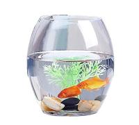 Acuario Tanque de Peces pequeño, Tanque de Peces Transparente Grueso, Tanque de Tortuga de Vidrio, Tanque Ovalado, Tanque de Escritorio for el hogar y la Oficina, Multiusos Peces Acuario(XL)