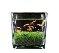 Acuario Tanque de Peces Vidrio Engrosado Tanque de Peces Transparente Semillas de Plantas de Agua Adornos de Micro Paisaje Hogar Escritorio Planta de Agua Barro Tanque ecológico Peces Acuario(Medio)