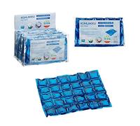 Acumulador de frío flexible bolsa refrigerante para camping Iceakku, 1 juego de 6 acumuladores de frío.