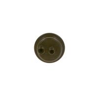 Bosch Acumulador de presión de combustible 0 438 170 007 para Volvo y Volkswagen