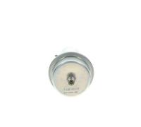 Acumulador de presión, presión de combustible BOSCH 0 438 170 017