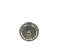 Acumulador de presión, presión de combustible BOSCH 0 438 170 055