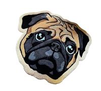 Acunny Felpudo de entrada exterior para perros, alfombra de bienvenida para perros, alfombra de cocina para cachorros, felpudo antideslizante para mascotas, alfombra de puerta para perro, cachorro,