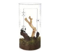 Acunny Terrario de arañas, hábitat de araña, tanque de acrílico para reptiles arborreales | Tanque impermeable de reptiles arboreales con puerta delantera para tarántula, planta de araña, orar mantis