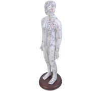 Acupoint profesional modelo 20.47 pulgadas humano con punta de acupuntura china para práctica de madera
