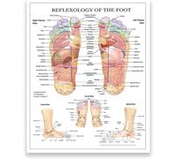 Acupuncture Foot Chart Traditional Chinese Medicine Reflexology Points Anatomy Poster Wall Art for Wellness Room Decor