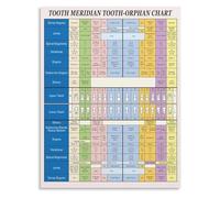 Acupuncture Meridian Tooth Chart Vintage Anatomy Educational Poster for Dental Office and Clinic Wall Art(Unframed,12x18inch(30x45cm))