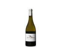 Ad Libitum Maturana Blanca 2024