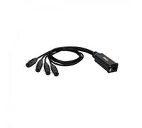 Adam Hall Cables 4 STAR CATBOX XF3 - Audio & DMX, Adaptador AES/EBU auf Cat XLR 3-Pol hembra