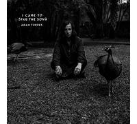 Adam Torres - I Came To Sing The Song [Vinilo]