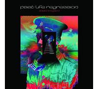 ADAM WINGARD - PAST LIFE REGRESSION [Vinilo]