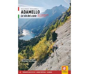 Adamello. Le vie del cielo. Versante Est. Vie classiche e moderne. Valle del Caffaro, Valle Aperta, Val Daone, Val Breguzzo (Vol. 2) (Luoghi verticali)