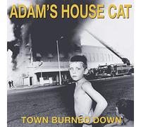 Adam'S House Cat – Town Burned Down – Vinilo