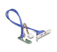 Adaptador DeLock 61065 M.2 Key B+M a 2x USB 3.0 y alimentación Molex