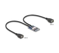 Adaptador Mini PCI Express Delock 64346 2x USB 2.0 Full Profile
