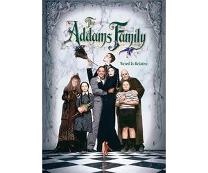 Addams Family [Edizione: Stati Uniti] [Italia] [DVD]