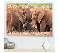 ADDO ELEPHANT NATIONAL PARK Elefanten Babies (hochwertiger Premium Wandkalender 2026 DIN A2 quer), Kunstdruck in Hochglanz: Addo Elephant National ... Aufnahmen von Elefanten Babies im Addo.