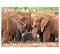 ADDO ELEPHANT NATIONAL PARK Elefanten Babies (Wandkalender 2026 DIN A2 quer), CALVENDO Monatskalender: Addo Elephant National Park ist der 3. Größte ... Aufnahmen von Elefanten Babies im Addo.