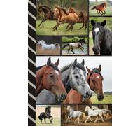Address and Password Book Combo: Hardcover / Large Print / Discreet / Log Home - Email Addresses - Phone Numbers / Track Birthdays / Web Login Keeper ... Seniors / Horse Theme - Animal Lover Cover
