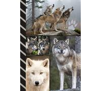 Address and Password Book Combo: Hardcover / Large Print / Discreet / Log Home - Email Addresses - Phone Numbers / Track Birthdays / Web Login Keeper ... / Wolf Wolves Theme - Animal Lover Cover