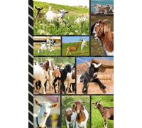 Address and Password Book Combo: Large Print | Discreet | Log Emails - Addresses - Phone Numbers - Birthdays - Web Login | Small Contact Keeper | Great Gift For Seniors | Goat Cover