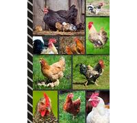 Address and Password Book Combo: Large Print | Discreet | Log Emails - Addresses - Phone Numbers - Birthdays - Web Login | Small Contact Keeper | Great Gift For Seniors | Chicken Cover