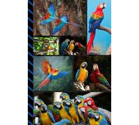 Address and Password Book Combo: Large Print | Discreet | Log Emails - Addresses - Phone Numbers - Birthdays - Web Login | Small Contact Keeper | Great Gift For Seniors | Parrot Lover Cover