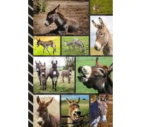 Address and Password Book Combo: Large Print | Discreet | Log Emails - Addresses - Phone Numbers - Birthdays - Web Login | Small Contact Keeper | Great Gift For Seniors | Donkey Cover