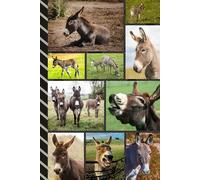 Address and Password Book Combo: Large Print | Discreet | Log Emails - Addresses - Phone Numbers - Birthdays - Web Login | Small Contact Keeper | Great Gift For Seniors | Donkey Cover