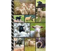 Address and Password Book Combo: Large Print | Discreet | Log Emails - Addresses - Phone Numbers - Birthdays - Web Login | Small Contact Keeper | Great Gift For Seniors | Sheep Cover