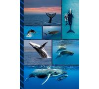 Address and Password Book Combo: Large Print | Discreet | Log Emails - Addresses - Phone Numbers - Birthdays - Web Login | Small Contact Keeper | Great Gift For Seniors | Whale Lover Cover
