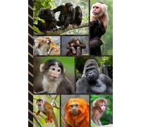 Address and Password Book Combo: Large Print | Discreet | Log Emails - Addresses - Phone Numbers - Birthdays - Web Login | Small Contact Keeper | Great Gift For Seniors | Monkey Theme Cover