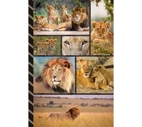 Address and Password Book Combo: Large Print | Discreet | Log Emails - Addresses - Phone Numbers - Birthdays - Web Login | Small Contact Keeper | Great Gift For Seniors | Lion Lover Cover