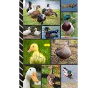 Address and Password Book Combo: Large Print | Discreet | Log Emails - Addresses - Phone Numbers - Birthdays - Web Login | Small Contact Keeper | Great Gift For Seniors | Duck Cover
