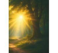Address Book - Sunlit Forest Path Cover: A warm and uplifting contact log with a golden forest path, designed to bring calm and clarity to your days