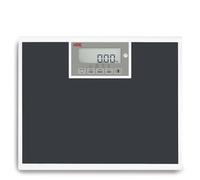 ADE M320600 Báscula médica profesional hasta 250 kg, superficie de pesaje extra ancha, homologada según MPG, sin calibrar - IMC, función de retención, pantalla giratoria