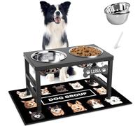 ADENGL Cuencos elevados para perros, 10 pulgadas de altura, soporte elevado con 2 cuencos de acero inoxidable (60 onzas) y alfombrilla a prueba de derrames para razas medianas, grandes y pequeñas