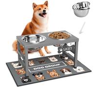 ADENGL Cuencos elevados para perros, 10 pulgadas de altura, soporte elevado con 2 cuencos de acero inoxidable (64 onzas) y alfombrilla a prueba de derrames para razas medianas, grandes y pequeñas