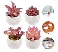 ADERTOS 4 PCS Plantas Suculentas Artificiales Plantas Artificiales Pequeñas Plantas Artificiales de Maceta Suculentas Artificiales Decorativas Pequeñas Plantas Falsas con Macetas para Casa Oficina