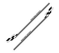 Adesivi laterali per portiera auto 2 pezzi, per Renault Clio Megane Duster Accessori auto Grafica Raicng Spirit Decor Decalcomanie Pellicola in vinile