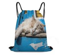 ADFGYERH Bolsa para dormir con diseño de gato pequeño, diseño de cordón abierto, mochila con cordón conveniente y portátil, mochila pequeña adecuada para la vida cotidiana, trabajo de oficina, viajes