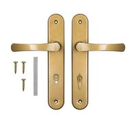 ADGO Tirador de puerta para 72 puertas de inodoro, para puerta izquierda y derecha, herraje largo de aluminio, puerta de baño, picaporte (dorado)