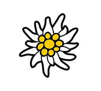 Adhesivo de calidad prémium para coche, diseño de flor de las nieves, resistente a los túneles de lavado, a la intemperie y a los rayos UV