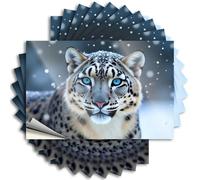 Adhesivo de letras de diatomeas lisas, leopardo de las nieves con llamativos ojos azules para ventana, calcomanía de vinilo impermeable (12 x 18 cm)