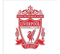 Adhesivo De Pared Art Wall Decal 3D Liverpool Autoadhesivo Football Club 58X85Cm