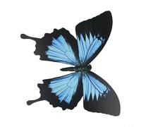 Adhesivo de pared de mariposa 3D para valla de jardín, pared, ventana, puerta, decoración compatible con entornos interiores y exteriores