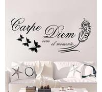 Adhesivo decorativo para pared con diseño de plumas de carpe diem español, viven en el momento, para habitación de niños, dormitorio, mariposa española Carpe Diem, 117 cm x 50 cm