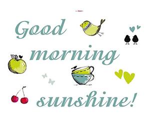 Adhesivo decorativo para pared, diseño de letras de pared good Morning Sunshine, 50 x 70 cm