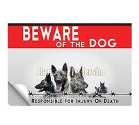 Adhesivo laminado Beware of the Dog Dutch Shepherd Dog
