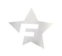 Adhesivo para Coche Foliatec FO33974 Plata